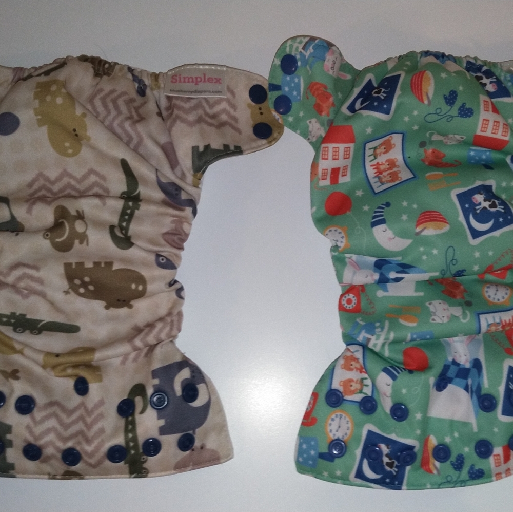 2 blueberry Organic simplex